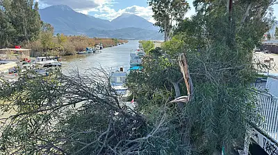 Fırtına etkili oldu: Çalış'ta tabelalar uçtu, ağaçlar kırıldı