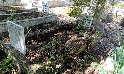 Fethiye Karapınar mezarlığında domuz talanı