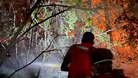 'Bu vatan hepimizin' dediler, alevlerle savaştılar