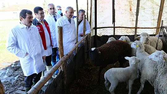 'Buzağı Kalkanı' projesinin tanıtımı yapıldı