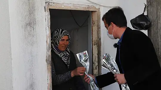 AK Parti Gençlik Kolları kadınların gününü karanfil dağıtarak kutladı
