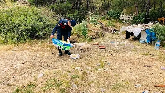 Muğla'da denetimler hız kesmeden devam ediyor