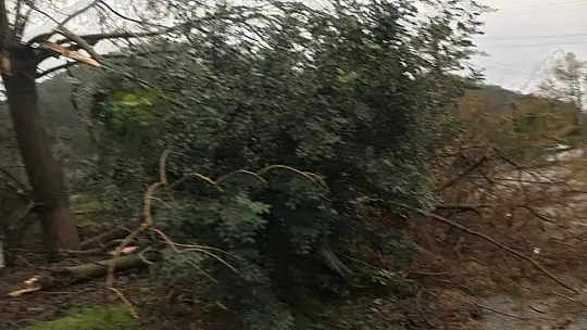 Fethiye'de etkili yağış