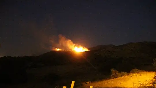 10 hektar makilik alan kül oldu