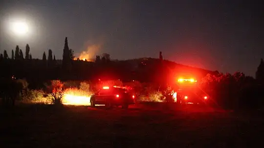 10 hektar makilik alan kül oldu