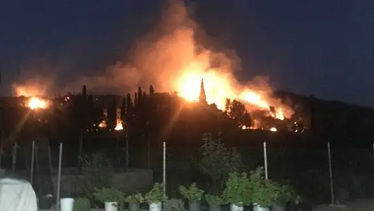 10 hektar makilik alan kül oldu