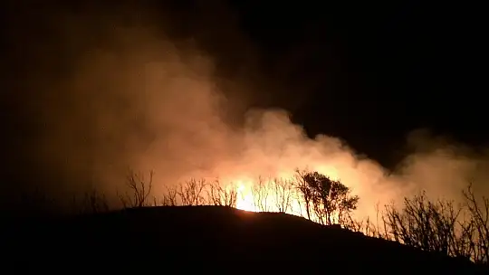 10 hektar makilik alan kül oldu