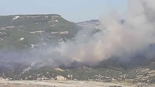 11 HELİKOPTER, 9 UÇAK ALEVLERE MÜDAHALE EDİYOR