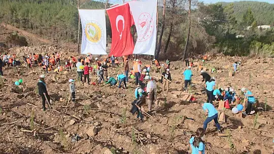 125 bin fidan toprakla buluşturuluyor