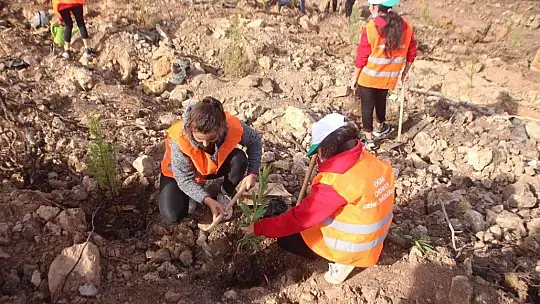 125 bin fidan toprakla buluşturuluyor