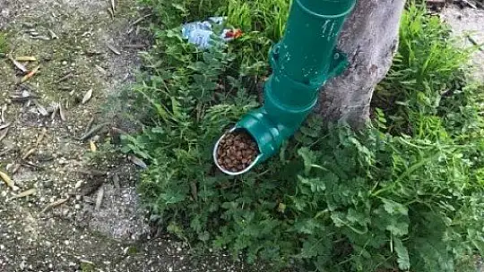 Fethiye mama kapları ile donatıldı