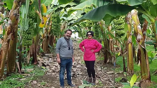 Şarkıcı Göksel muz serasına hayran kaldı 