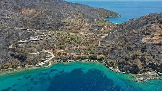 17 yıllık anıları yangınla birlikte küle döndü