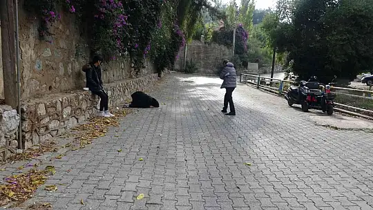 18 YAŞINDA HAYATINI KAYBEDEN BERFİN'İN AİLESİ, KAZANIN AYDINLATILMASINI İSTİYOR