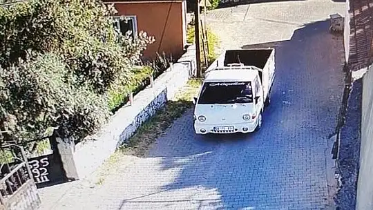 Bu kadarına da pes!