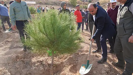 Seydikemer'de 100. Yıl Cumhuriyet Ormanları Oluşturuldu