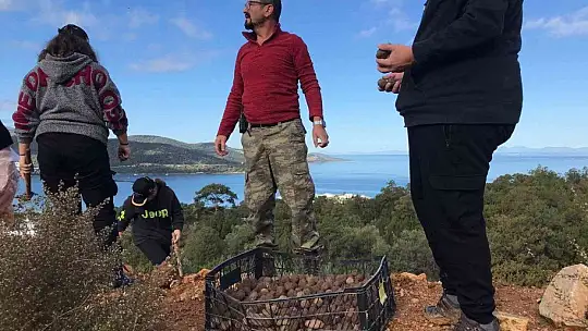 2 bin tohum topunu doğayla buluşturdular