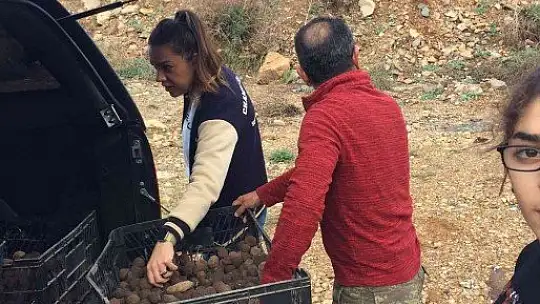 2 bin tohum topunu doğayla buluşturdular