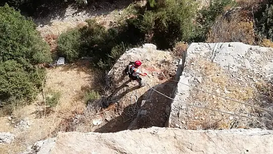 2 gündür kayalıklarda mahsur kalan keçiler kurtarıldı