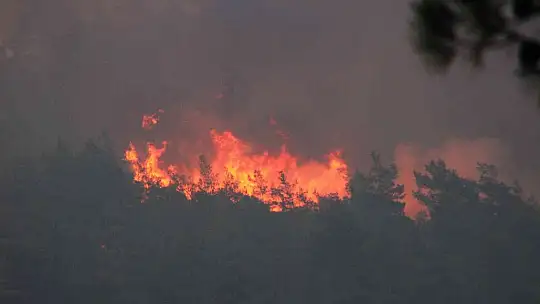 20 helikopter, 14 uçak ile müdahale başladı