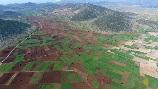 2020 Yılında Muğla'da 4 Bin 415 Hektar arazi toplulaştırıldı