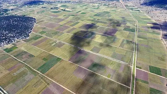 2020 Yılında Muğla'da 4 Bin 415 Hektar arazi toplulaştırıldı