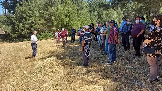 İkizköy Akbelen Ormanı hem Muğla'nın hem de Türkiye'nin sorunudur!