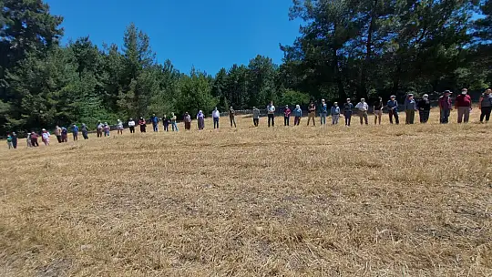 İkizköy Akbelen Ormanı hem Muğla'nın hem de Türkiye'nin sorunudur!
