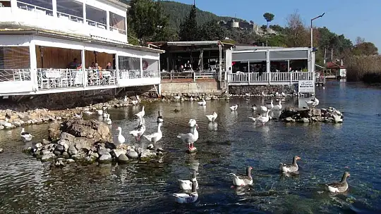 2023'Ü DENİZDE KARŞILADILAR