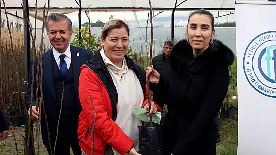 2500 FETHİYE KAYA İNCİRİ FİDANI ÜRETİCİLERE DAĞITILDI