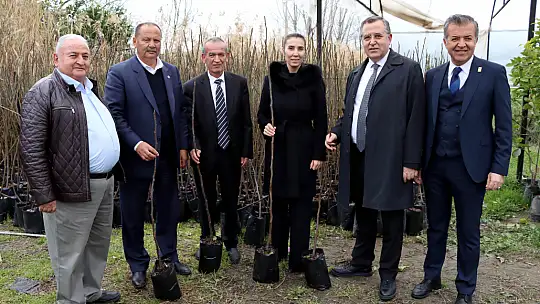 2500 FETHİYE KAYA İNCİRİ FİDANI ÜRETİCİLERE DAĞITILDI