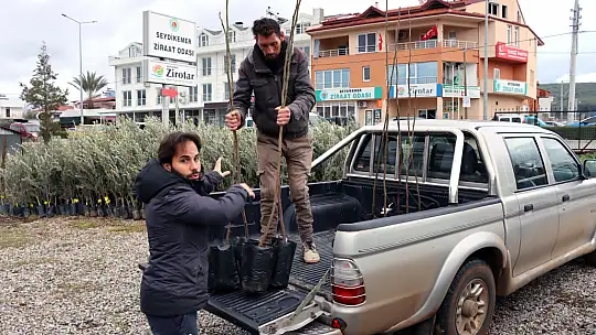 2500 FETHİYE KAYA İNCİRİ FİDANI ÜRETİCİLERE DAĞITILDI
