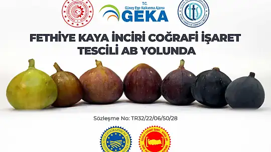 Başkan Çıralı, 'Fethiye Kaya İnciri bölgenin AB tescilli ilk ürünü olacak'