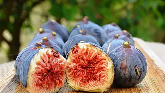 Başkan Çıralı, 'Fethiye Kaya İnciri bölgenin AB tescilli ilk ürünü olacak'