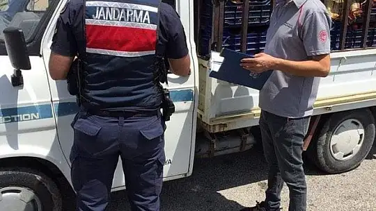 Fethiye'de çiftçilere verilen izin belgeleri kontrol edildi