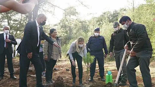 Yeşil Ortaca İçin Fidan Diktiler