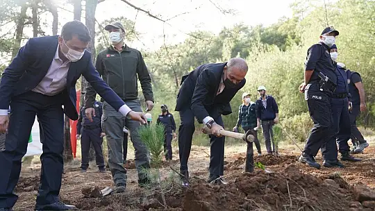 Yeşil Ortaca İçin Fidan Diktiler