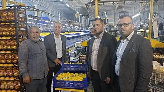 Dalaman Limonu, İstanbul'da Komisyonsuz Satılacak