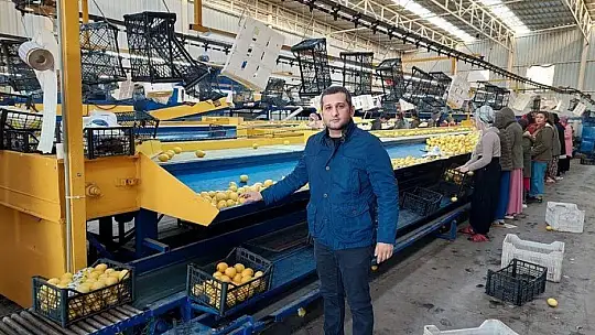 Dalaman Limonu, İstanbul'da Komisyonsuz Satılacak