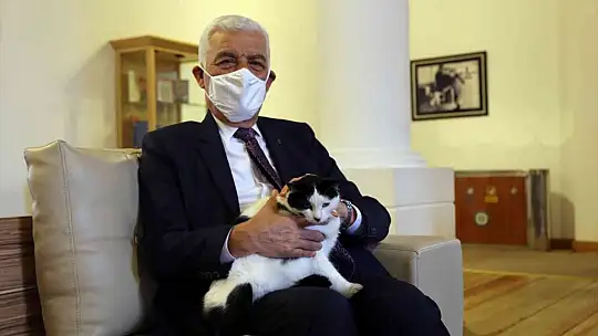 26 Bin Can Dostu tedavi edildi