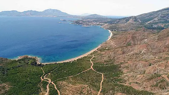 26 yıl önce yandı, yeşil ile mavi tekrar buluştu