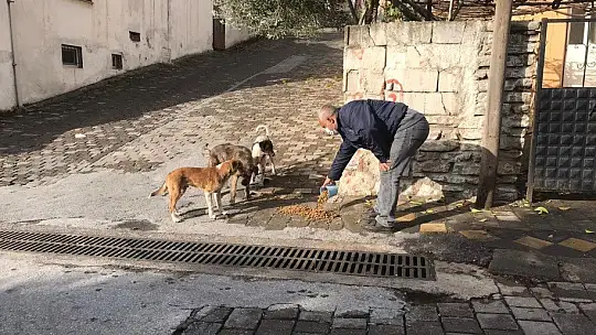 Milas Belediyesi Minik Dostlarımızın Yanında