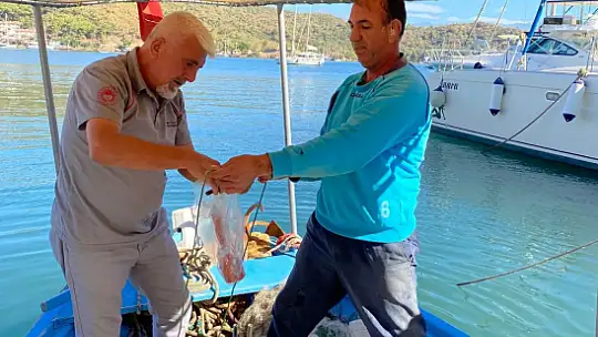 AV ARAÇLARI KAYIT ALTINA ALINDI