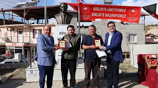 SEYDİKEMER'DE BAĞBOZUMU ŞENLİĞİ