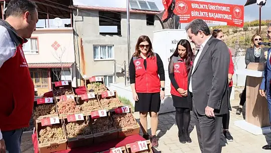 SEYDİKEMER'DE BAĞBOZUMU ŞENLİĞİ