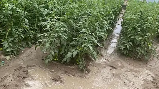 YAĞIŞ SEYDİKEMER'DE HAYATI OLUMSUZ ETKİLEDİ