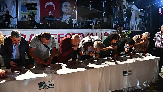 Nif Kiraz Festivali Coşkulu Geçti