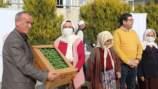 360 bin adaçayı ve kekik fidesi dağıtıldı