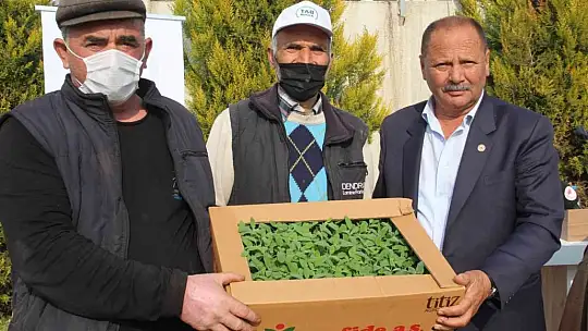 360 bin adaçayı ve kekik fidesi dağıtıldı