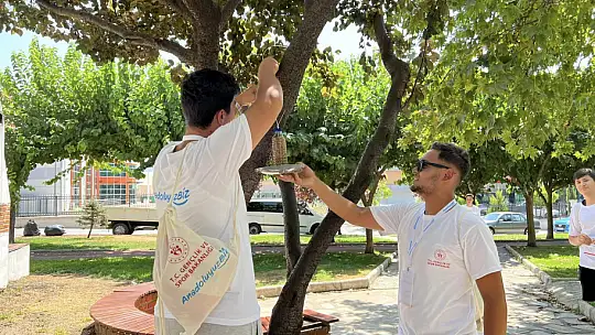 Gençler Muğla'da misafir edildi
